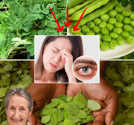 10 Life-Changing Health Benefits of Moringa You Need to Know 10 Life-Changing Health Benefits of Moringa You Need to Know