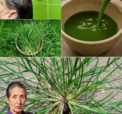 Nature’s Overlooked Miracle