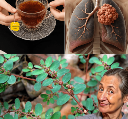 Your Key to Natural Healing