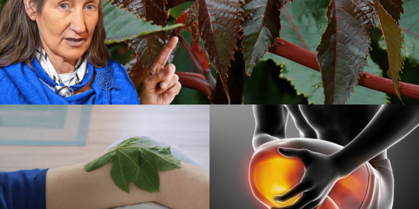 Nature’s Overlooked Treasure