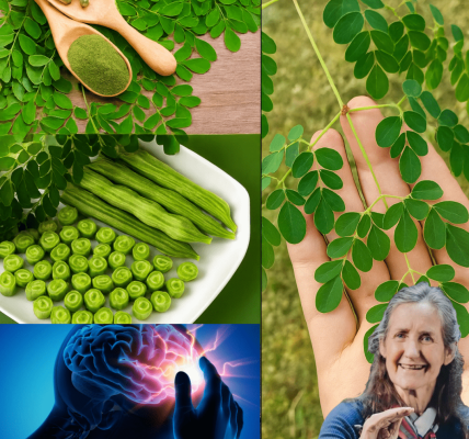 Is This Miracle Tree Worth a King’s Ransom? Is This Miracle Tree Worth a King’s Ransom?