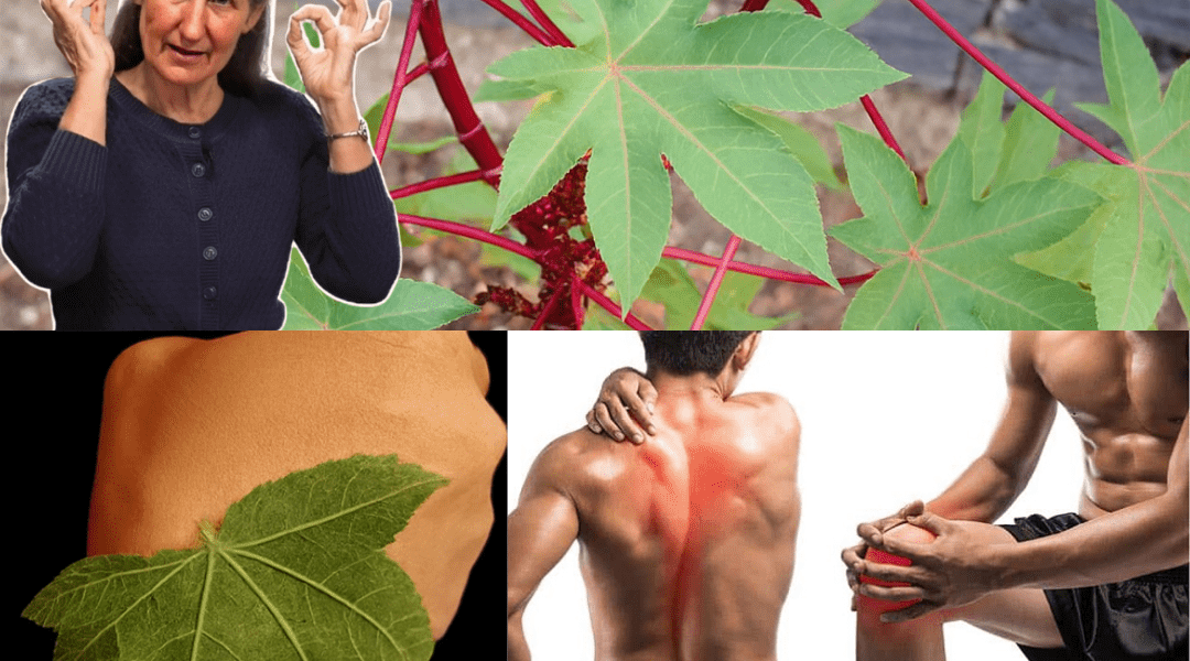 10 Mind-Blowing Benefits You’ve Never Heard Of 10 Mind-Blowing Benefits You’ve Never Heard Of