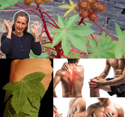 10 Mind-Blowing Benefits You’ve Never Heard Of 10 Mind-Blowing Benefits You’ve Never Heard Of