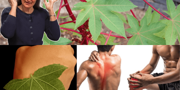 10 Mind-Blowing Benefits You’ve Never Heard Of 10 Mind-Blowing Benefits You’ve Never Heard Of