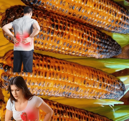 12 Grilled Corn Secrets That Will Transform Your Summer Bites – dogpjs.com 12 Grilled Corn Secrets That Will Transform Your Summer Bites – dogpjs.com