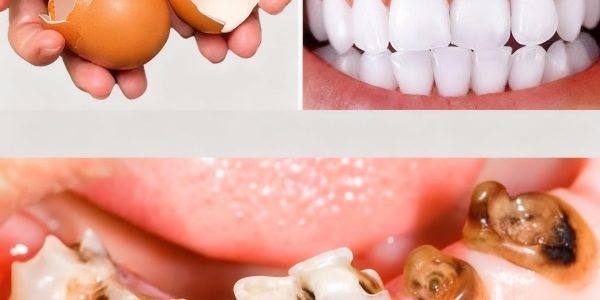 What If Your Trash Held the Secret to a Hollywood Smile? – dogpjs.com What If Your Trash Held the Secret to a Hollywood Smile? – dogpjs.com