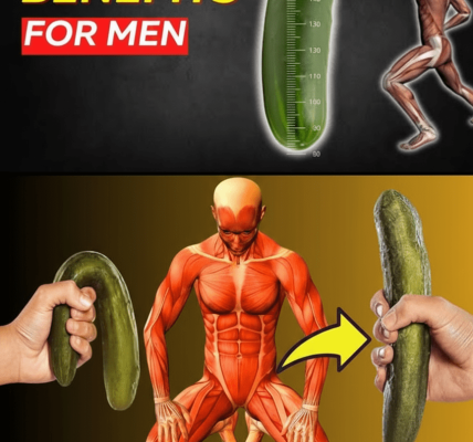Why Every Man Should Eat a Cucumber a Day: Unlock a Healthier, Stronger You! 🥒 Why Every Man Should Eat a Cucumber a Day: Unlock a Healthier, Stronger You! 🥒