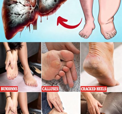 6 Warning Signs You Can’t Ignore 6 Warning Signs You Can’t Ignore