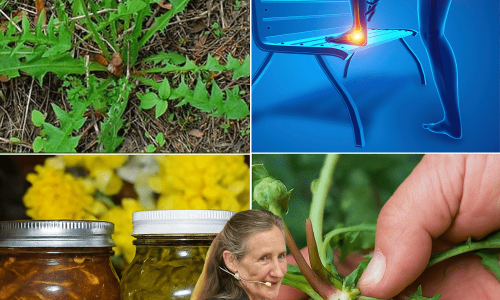 5 Surprising Health Benefits to Transform Your Wellness 5 Surprising Health Benefits to Transform Your Wellness