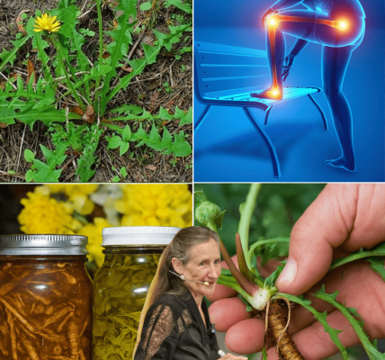 5 Surprising Health Benefits to Transform Your Wellness