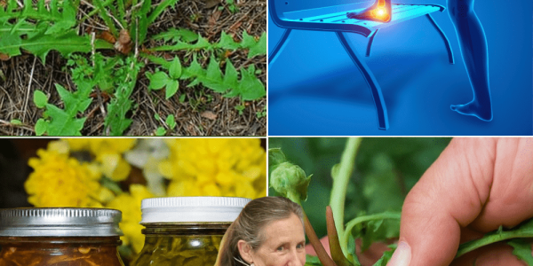 5 Surprising Health Benefits to Transform Your Wellness 5 Surprising Health Benefits to Transform Your Wellness