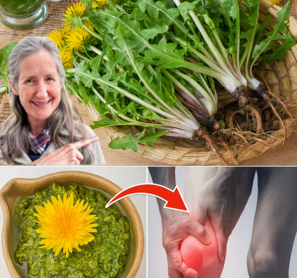 š¼ Unlock the Magic of Dandelions: 10 Surprising Uses to Transform Your Life š¼ Unlock the Magic of Dandelions: 10 Surprising Uses to Transform Your Life