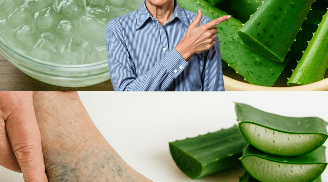 The Desert Miracle: Why This Single Plant Holds the Key to Vanishing Varicose Veins and Heavy Legs ๐ต๐ The Desert Miracle: Why This Single Plant Holds the Key to Vanishing Varicose Veins and Heavy Legs ๐ต๐