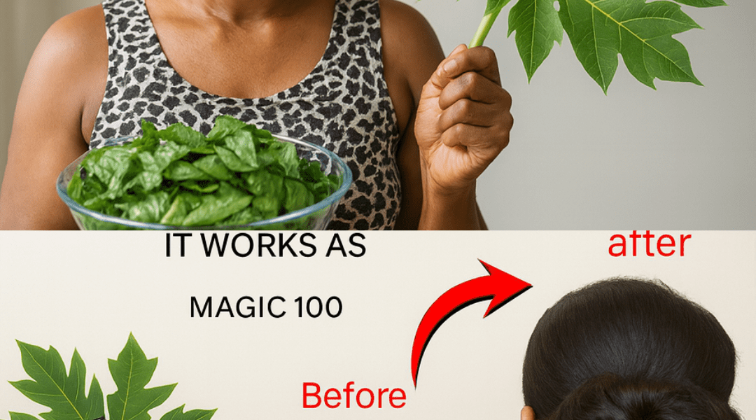 Papaya Leaves for Hair Growth: A Natural Home Remedy Worth Exploring at Home