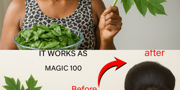 Papaya Leaves for Hair Growth: A Natural Home Remedy Worth Exploring at Home Papaya Leaves for Hair Growth: A Natural Home Remedy Worth Exploring at Home