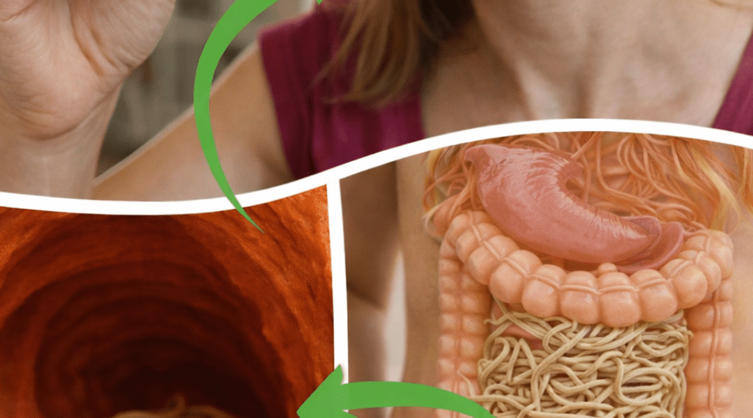 11 Surprising Facts About Garlic You Probably Didn’t Know: Insights I Wish I’d Discovered Earlier 11 Surprising Facts About Garlic You Probably Didn’t Know: Insights I Wish I’d Discovered Earlier