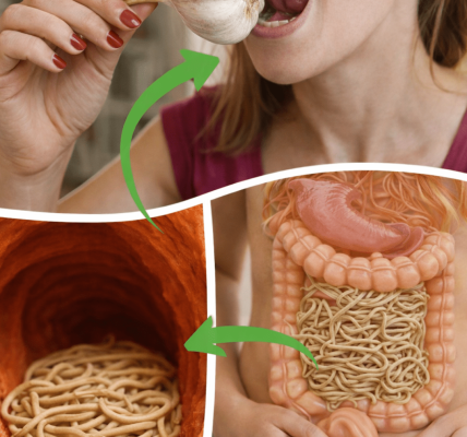 11 Surprising Facts About Garlic You Probably Didn’t Know: Insights I Wish I’d Discovered Earlier 11 Surprising Facts About Garlic You Probably Didn’t Know: Insights I Wish I’d Discovered Earlier