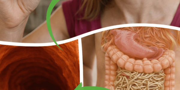 11 Surprising Facts About Garlic You Probably Didn’t Know: Insights I Wish I’d Discovered Earlier