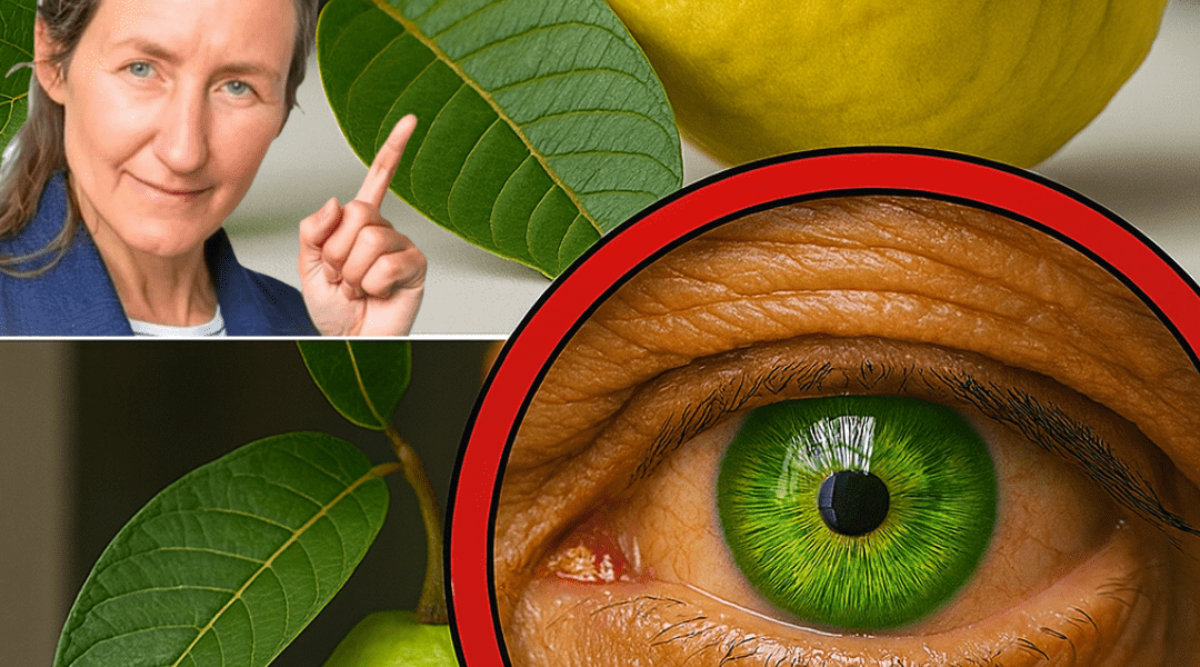 Unveiling the Emerald Secret: Can Guava Be the Key to Your Clearest Vision? Unveiling the Emerald Secret: Can Guava Be the Key to Your Clearest Vision?