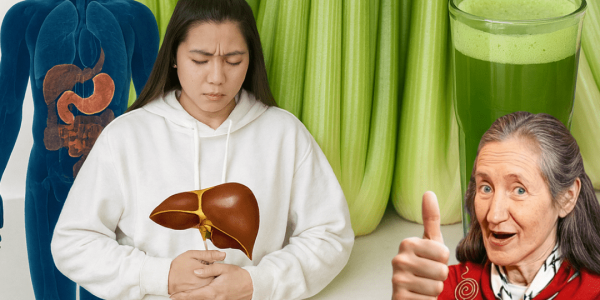 The Forbidden Green Elixir: How to Use the World’s Most Potent Detox Plant to Instantly Purify Your Entire System The Forbidden Green Elixir: How to Use the World’s Most Potent Detox Plant to Instantly Purify Your Entire System