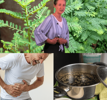 The Undiscovered Healing Miracle: Decoding the Power of Chanca Piedra, The True Stone Breaker