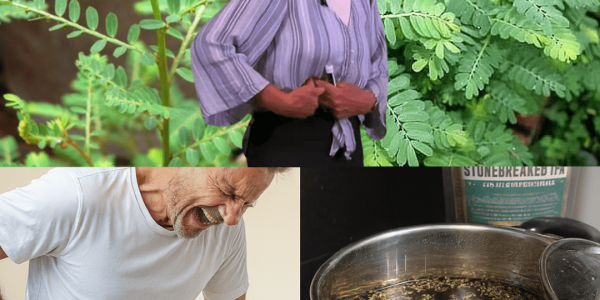 The Undiscovered Healing Miracle: Decoding the Power of Chanca Piedra, The True Stone Breaker