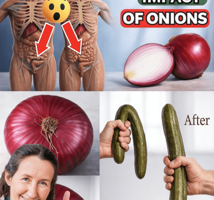 Unlocking Masculine Power: The Shocking, Science-Backed Impact of Onions to Fix “Powerless” Moments in Bed Unlocking Masculine Power: The Shocking, Science-Backed Impact of Onions to Fix “Powerless” Moments in Bed