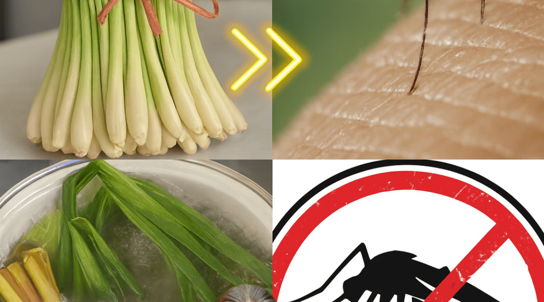 The One-Stalk Secret: Unlocking the Ancient Power of Lemongrass to Banish Mosquitoes Forever