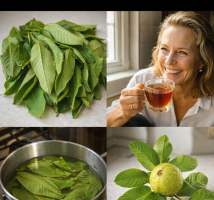 17 Surprising Reasons to Add Guava Leaf Tea to Your Routine Twice a Week 17 Surprising Reasons to Add Guava Leaf Tea to Your Routine Twice a Week