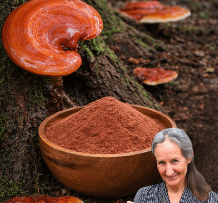 Have You Ever Walked Past This Stunning Red Mushroom Growing on a Tree Without Realizing Its Potential for Everyday Wellness? Have You Ever Walked Past This Stunning Red Mushroom Growing on a Tree Without Realizing Its Potential for Everyday Wellness?