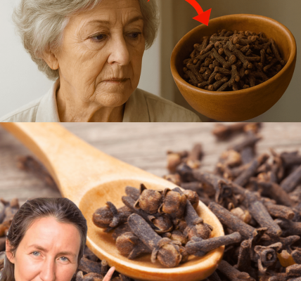 What Happens to Your Body When You Chew 2 Whole Cloves Every Morning on an Empty Stomach? What Happens to Your Body When You Chew 2 Whole Cloves Every Morning on an Empty Stomach?