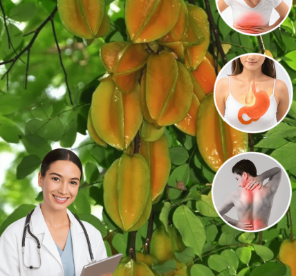 9 Surprising Facts About Star Fruit Leaves You Probably Wish You’d Known Sooner 9 Surprising Facts About Star Fruit Leaves You Probably Wish You’d Known Sooner