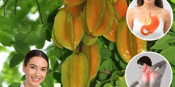 9 Surprising Facts About Star Fruit Leaves You Probably Wish You’d Known Sooner