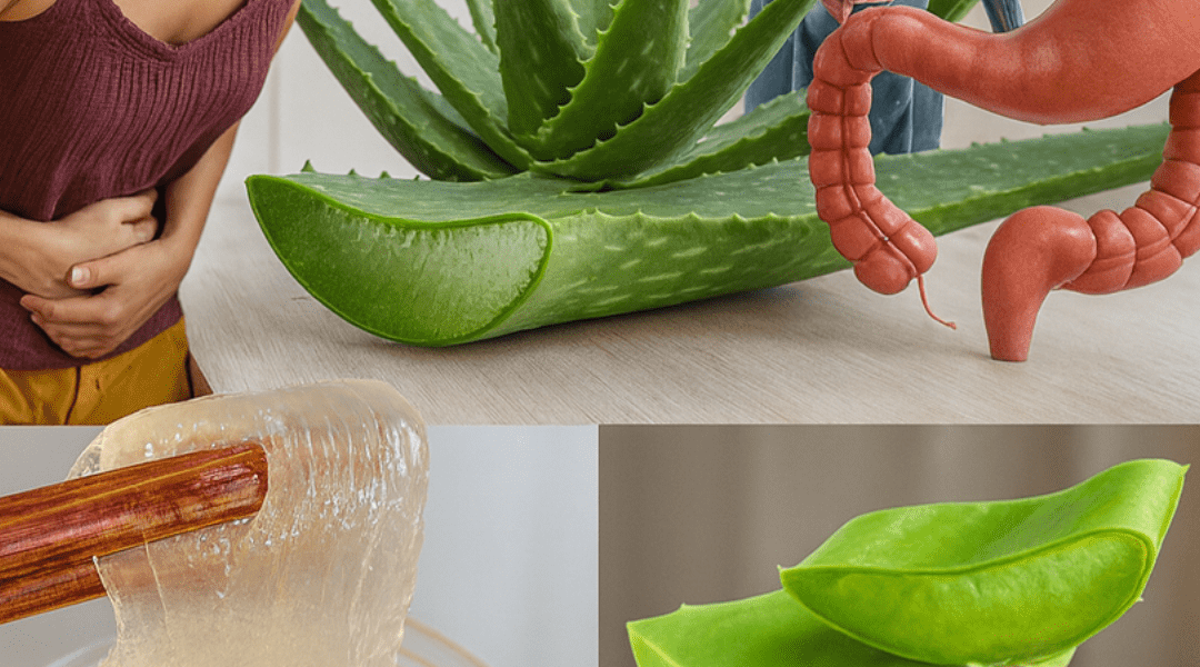 12 Reasons Why Women Should Consider Adding Aloe Vera Water with Honey to Their Daily Routine
