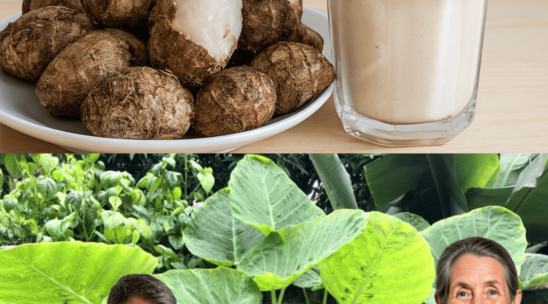 The Forgotten Root of Digestive Zenith: Unlocking the Secret Power of Taro to End Gut Distress The Forgotten Root of Digestive Zenith: Unlocking the Secret Power of Taro to End Gut Distress