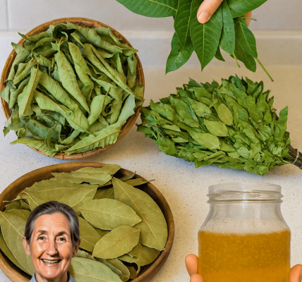 Discover Four Everyday Leaves That May Support Your Overall Wellness and Metabolic Health