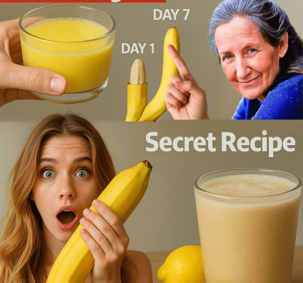 The Quiet Powerhouse: How to Naturally Reclaim Your Focus, Energy, and Vitality After 50 (No Gimmicks, Just Biology) The Quiet Powerhouse: How to Naturally Reclaim Your Focus, Energy, and Vitality After 50 (No Gimmicks, Just Biology)