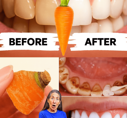Unlock a Dazzling Smile in Just 2 Minutes: The Carrot Trick That Whitens Teeth Naturally Unlock a Dazzling Smile in Just 2 Minutes: The Carrot Trick That Whitens Teeth Naturally