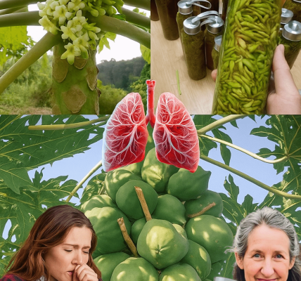 12 Amazing Health Benefits of Papaya Flowers: Unlock Nature’s Hidden Floral Treasure! 🌸 12 Amazing Health Benefits of Papaya Flowers: Unlock Nature’s Hidden Floral Treasure! 🌸