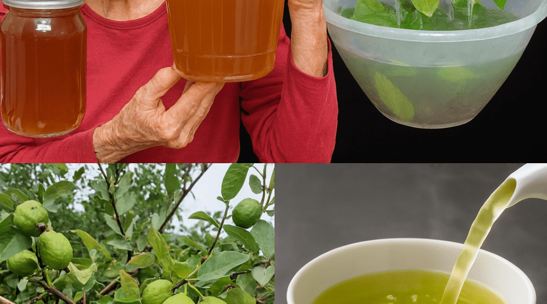 🍃 What If a Simple Leaf from Your Backyard Could Slash Your Doctor Visits in Half? Unlock the 17 Forbidden Powers of Guava Leaf Tea That Ancient Healers Swore By