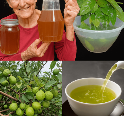 🍃 What If a Simple Leaf from Your Backyard Could Slash Your Doctor Visits in Half? Unlock the 17 Forbidden Powers of Guava Leaf Tea That Ancient Healers Swore By