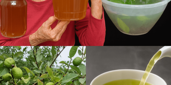 🍃 What If a Simple Leaf from Your Backyard Could Slash Your Doctor Visits in Half? Unlock the 17 Forbidden Powers of Guava Leaf Tea That Ancient Healers Swore By