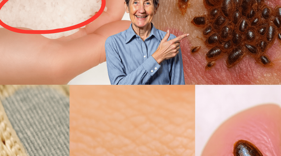 🌿 Banish Garden Pests in Minutes with This Safe, Natural Trick! 🌿 Banish Garden Pests in Minutes with This Safe, Natural Trick!