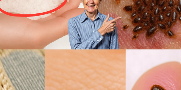 🌿 Banish Garden Pests in Minutes with This Safe, Natural Trick!