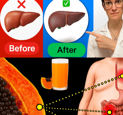 Papaya Seeds: The Hidden Natural Remedy Your Body Has Been Craving Papaya Seeds: The Hidden Natural Remedy Your Body Has Been Craving