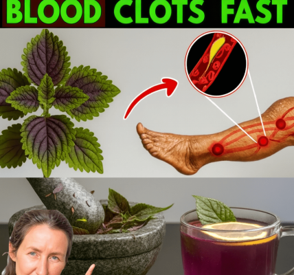 Over 60? 6 Powerful Herbs That May Help Dissolve Hidden Leg Clots & Boost Circulation Naturally Over 60? 6 Powerful Herbs That May Help Dissolve Hidden Leg Clots & Boost Circulation Naturally