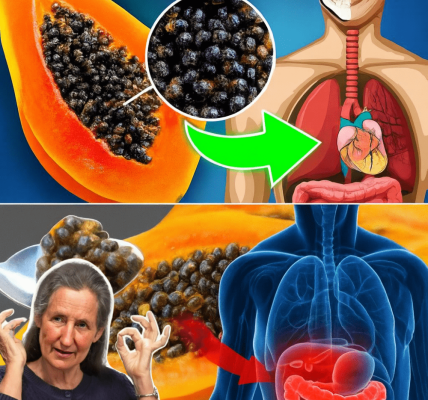 Chew 4 Papaya Seeds a Day – Here’s What Really Happens to Your Body