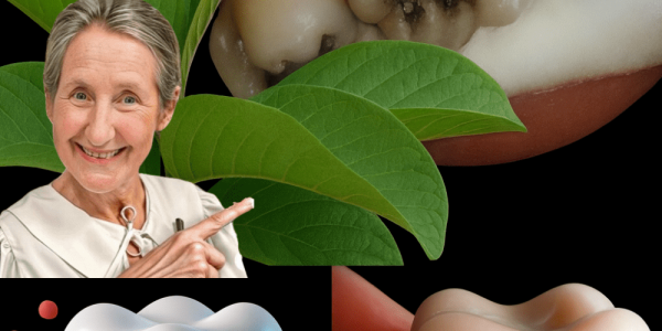 3 Natural Ways Guava Leaves Can Help Fight Tooth Decay at Home (Cheap & Simple) 3 Natural Ways Guava Leaves Can Help Fight Tooth Decay at Home (Cheap & Simple)