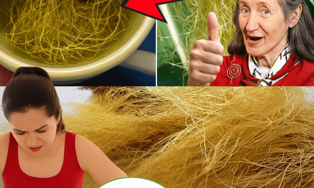 30 Science-Backed Benefits of Corn Silk You Probably Never Knew (But Your Body Will Thank You For) 30 Science-Backed Benefits of Corn Silk You Probably Never Knew (But Your Body Will Thank You For)