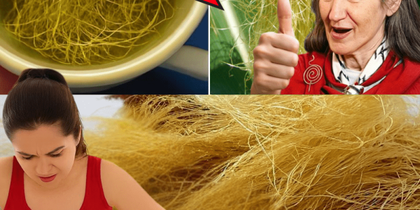 30 Science-Backed Benefits of Corn Silk You Probably Never Knew (But Your Body Will Thank You For) 30 Science-Backed Benefits of Corn Silk You Probably Never Knew (But Your Body Will Thank You For)